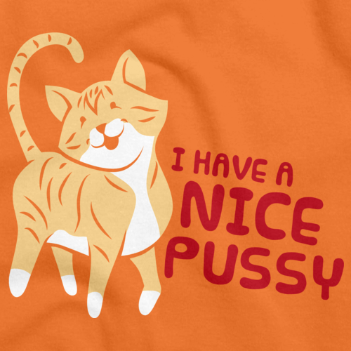 I HAVE A NICE PUSSY Orange art preview