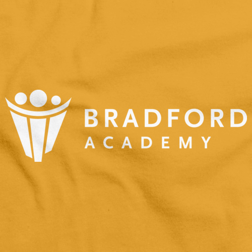 Bradford Academy Dark Gold Art Preview