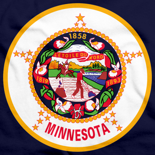Minnesota State Flag Navy art preview