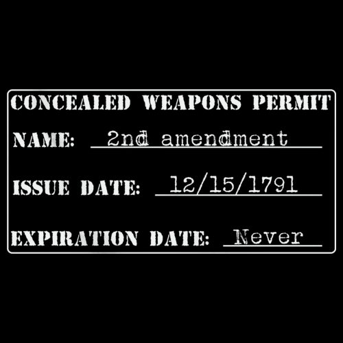 2nd Amendment Gun Permit T-shirt Black art preview