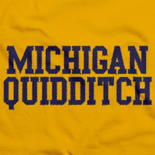 Michigan Quidditch Scarf Gold And Navy Art Preview