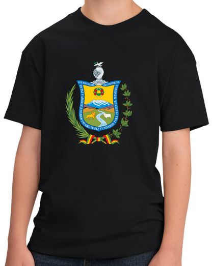 Youth Black La Paz Coat Of Arms - Bolivia Bolivian Pride Heritage Love T-shirt