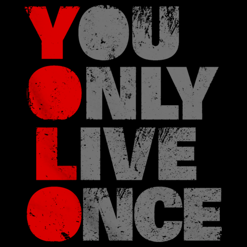 YOU ONLY LIVE ONCE (YOLO) Tee Black art preview