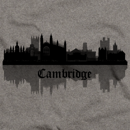 Skyline of Cambridge, UK Grey art preview