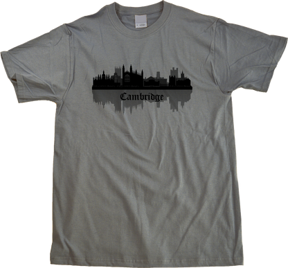 Unisex Grey Skyline Of Cambridge, UK - University Charles Darwin Pink Floyd T-shirt