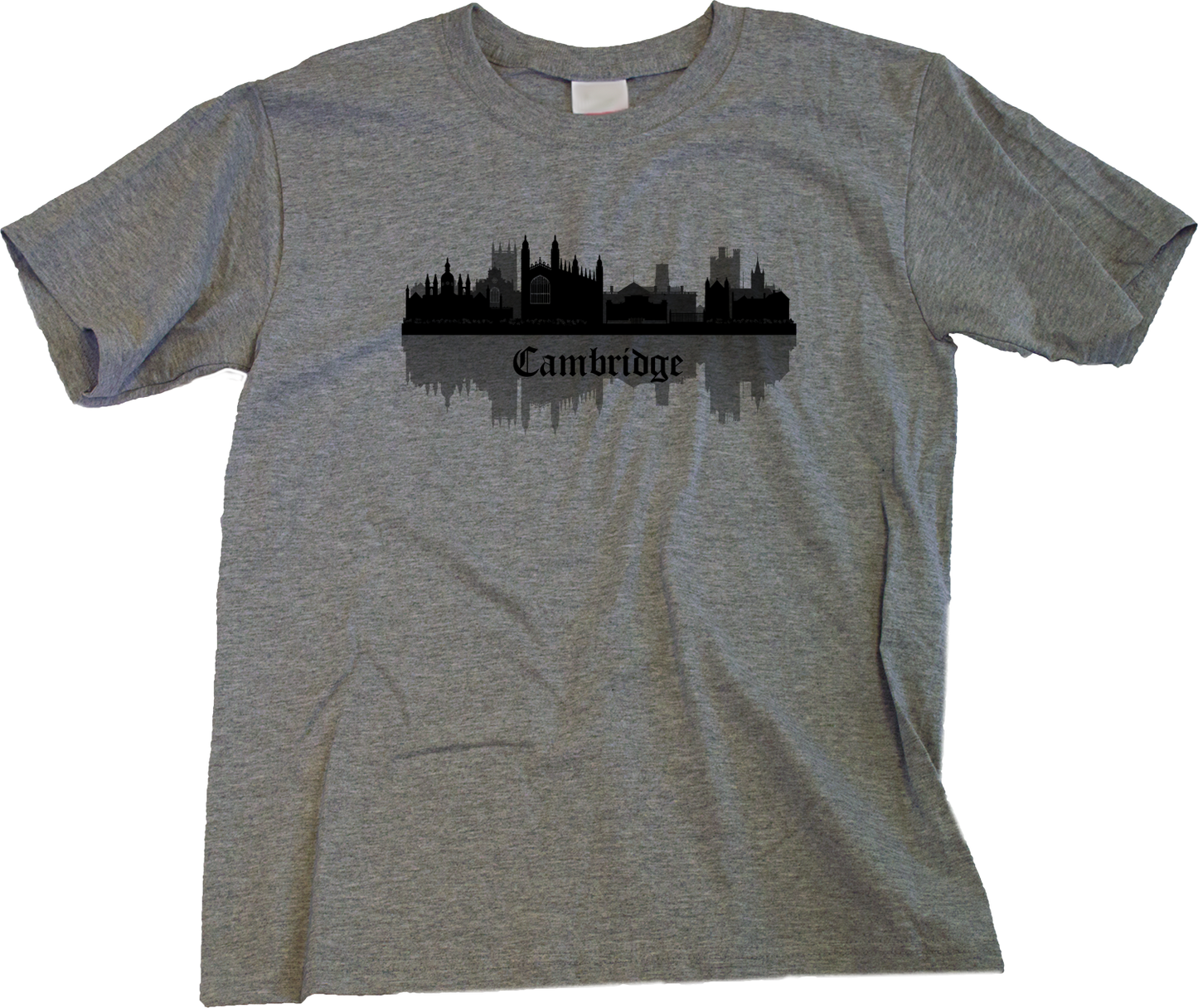 Youth Grey Skyline Of Cambridge, UK - University Charles Darwin Pink Floyd T-shirt