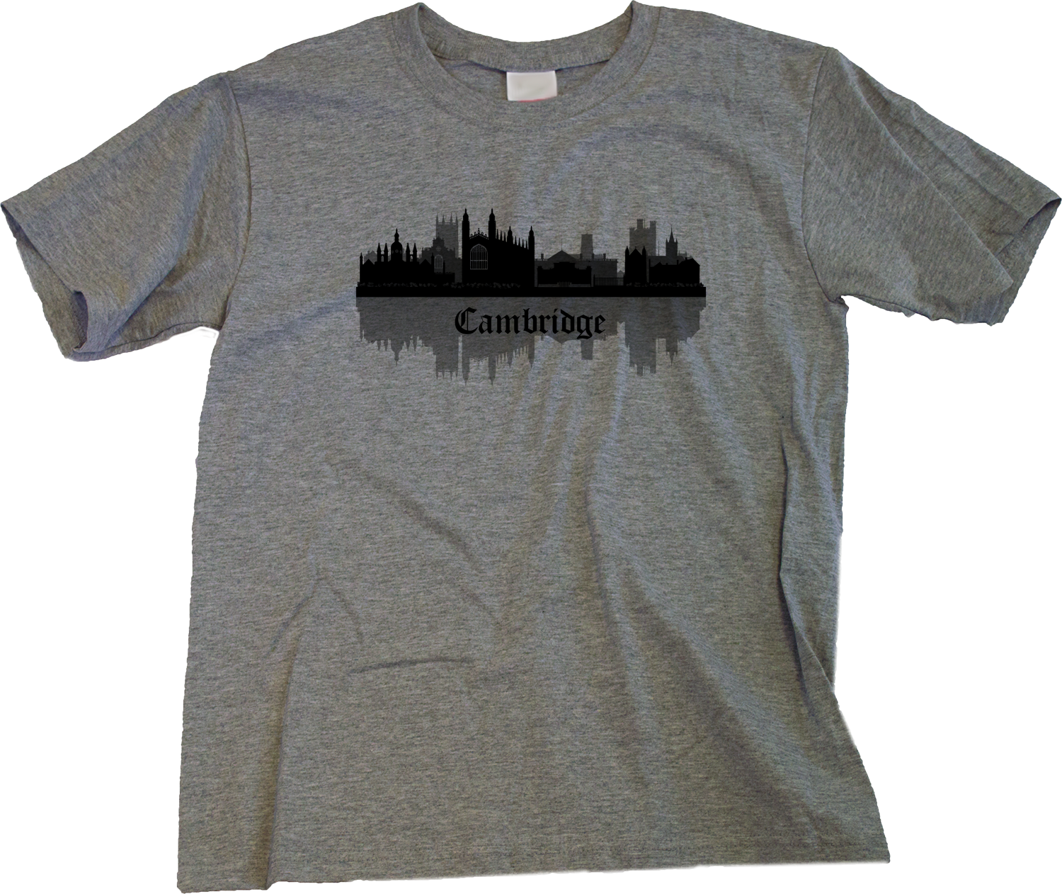 Youth Grey Skyline Of Cambridge, UK - University Charles Darwin Pink Floyd T-shirt