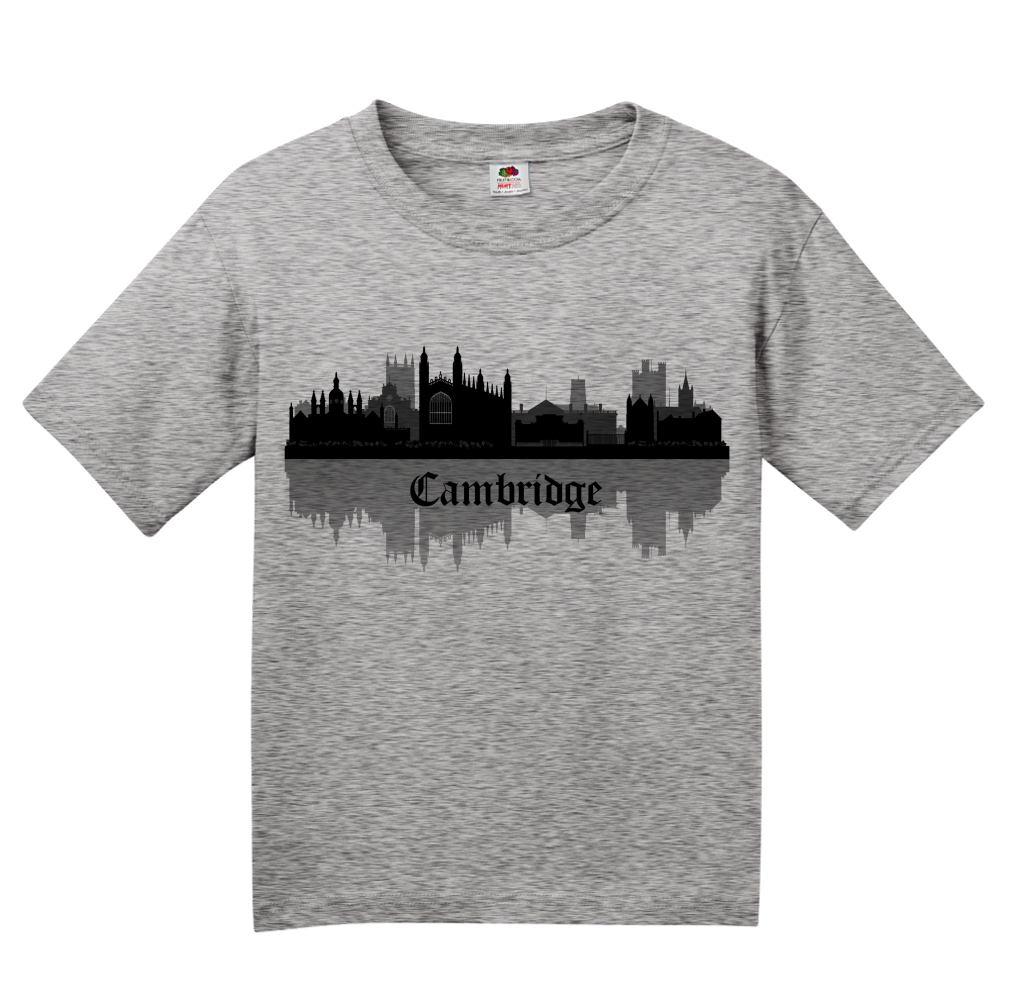 Youth Grey Skyline Of Cambridge, UK - University Charles Darwin Pink Floyd T-shirt