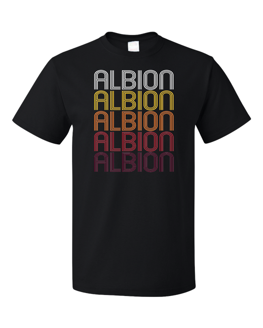 Standard Black Albion, MI | Retro, Vintage Style Michigan Pride  T-shirt