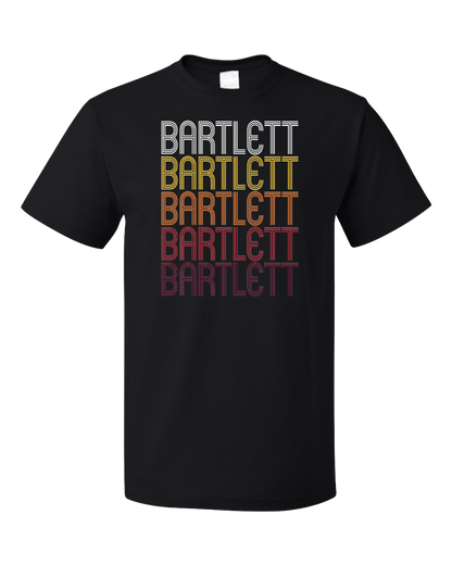 Standard Black Bartlett, IL | Retro, Vintage Style Illinois Pride  T-shirt