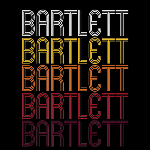 Bartlett, IL | Retro, Vintage Style Illinois Pride 