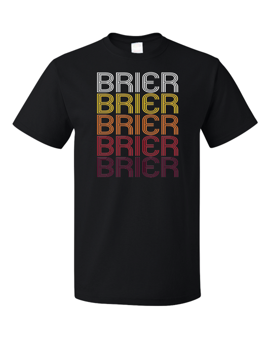 Standard Black Brier, WA | Retro, Vintage Style Washington Pride  T-shirt