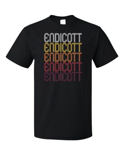 Standard Black Endicott, NY | Retro, Vintage Style New York Pride  T-shirt