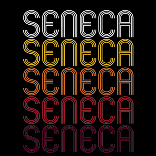 Seneca, IL | Retro, Vintage Style Illinois Pride 