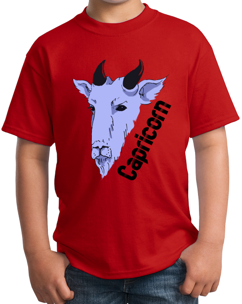 Youth Red Zodiac Capricorn - Horoscope Astrology Fan Star Sign Goat T-shirt